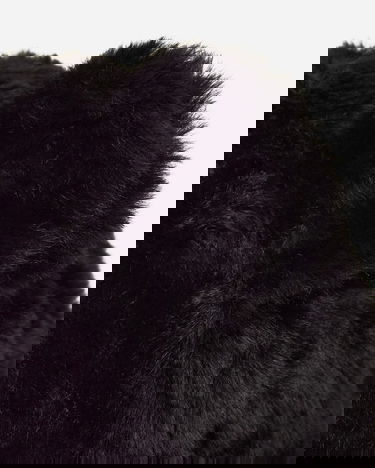 Шапка с козирка Aries Aries Temple Fluffy Ear Cap Черно | AR9005404 Black, 7