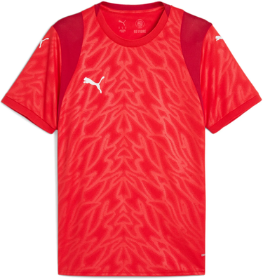 Фланелка Puma Puma teamCUP Jersey Червено | 706272-01, 0
