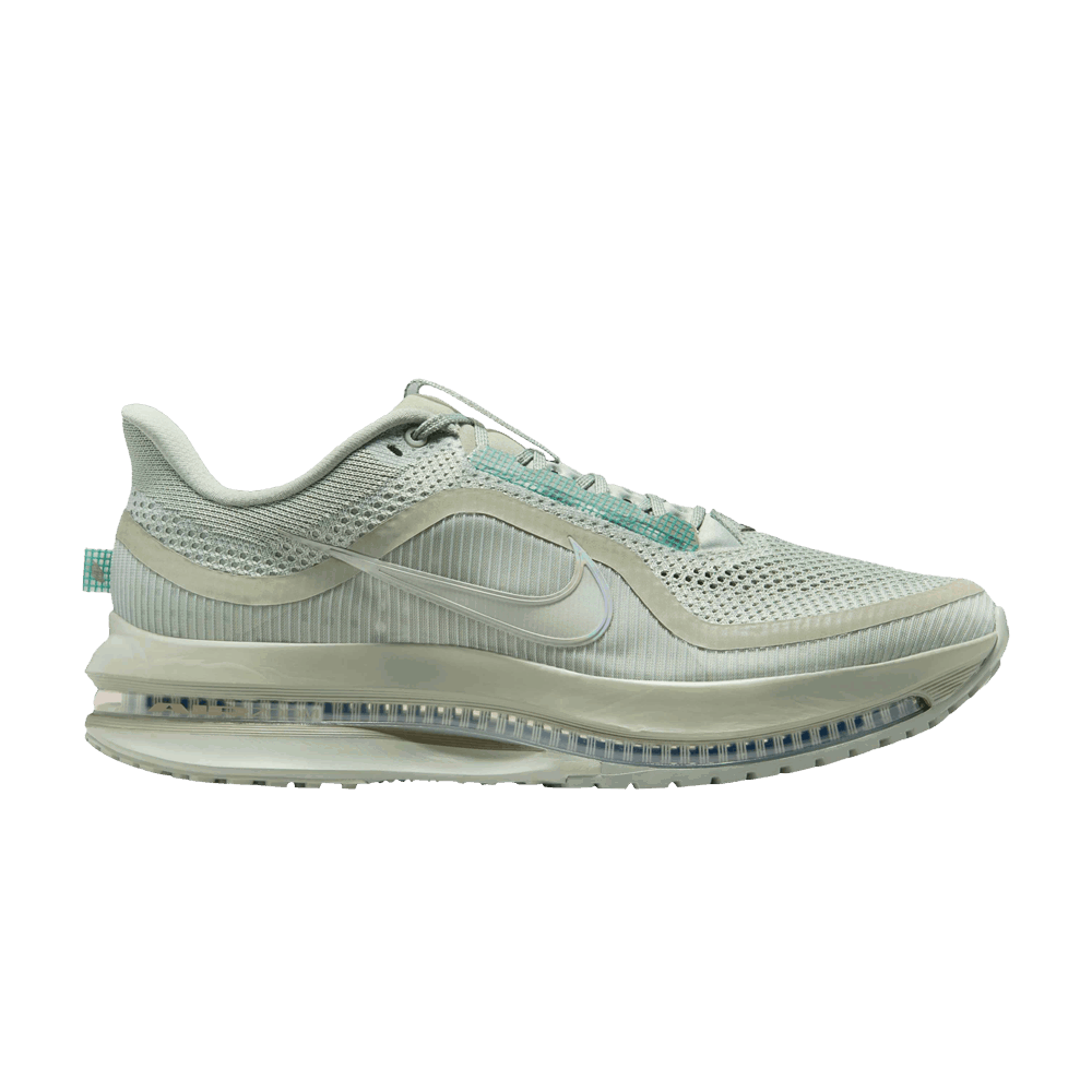 Кецове и обувки Nike Pegasus Premium Зелено | HQ2592-300, 0