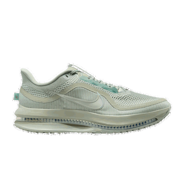 Кецове и обувки Nike Pegasus Premium Зелено | HQ2592-300, 0