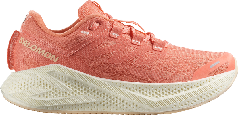 Кецове и обувки Salomon Salomon AERO GLIDE 3 Оранжево
 | l47810-700