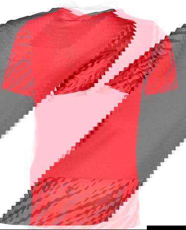 Фланелка Nike Nike DRY NE GX2 Jersey Short Sleeve Червено | cw4002-657, 1