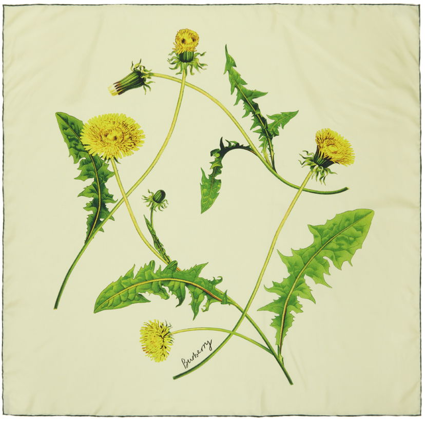 Шал Burberry Dandelion Silk Scarf Жълто | 8082090