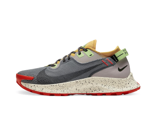 Бягане Nike Pegasus Trail 2 GTX W Кафяво | cu2018-002