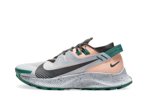 Бягане Nike Pegasus Trail 2 W Сиво | ck4309-004
