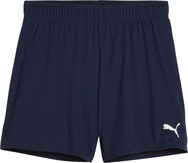 Puma teamGOAL Handball Shorts