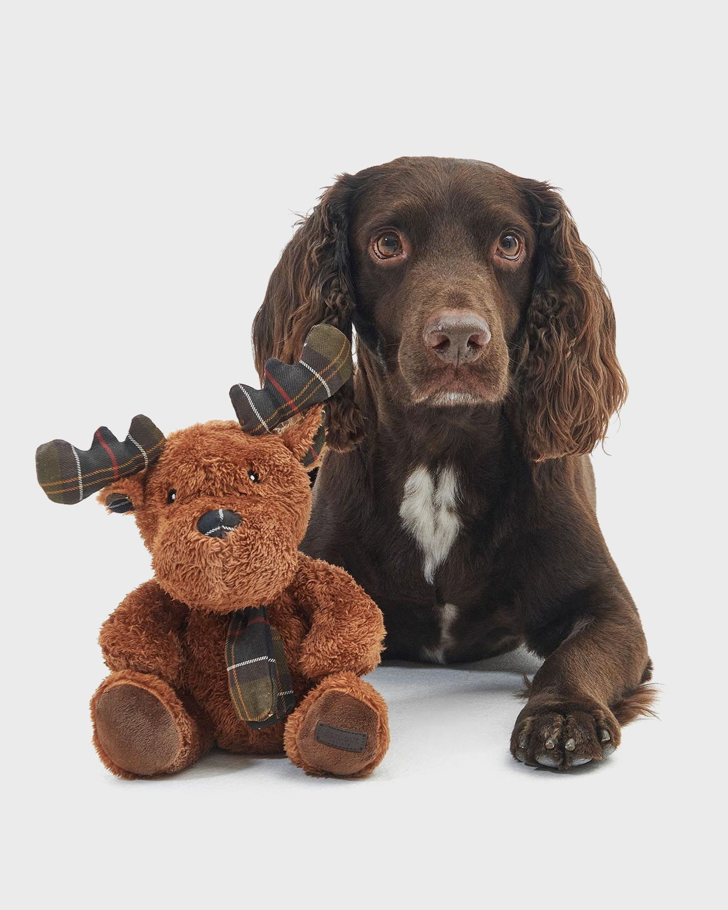 Домашен декор Barbour Reindeer Toy Кафяво | DAC0094BR11, 1