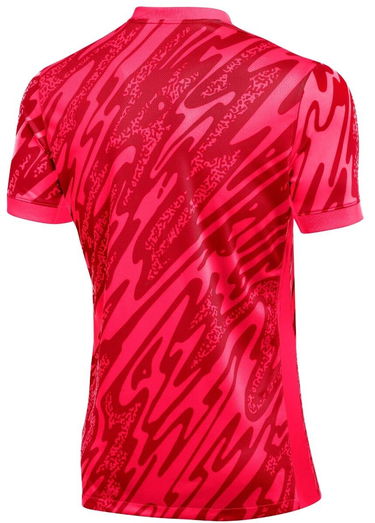 Фланелка Nike DF GARDIEN V GK JSY SS Червено | fd7482-644, 1