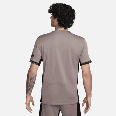 Фланелка Nike Dri-FIT Tottenham Hotspur Stadium 2023/24 Third Jersey Сиво | DX9826-210, 1