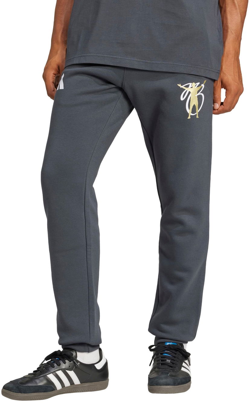 Спортни панталони adidas Originals Fleece Graphic Jogger Pants Сиво | jvu02-jm9367