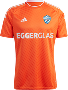 TSV Hartberg Patterned Home Soccer Jersey 2022/2023