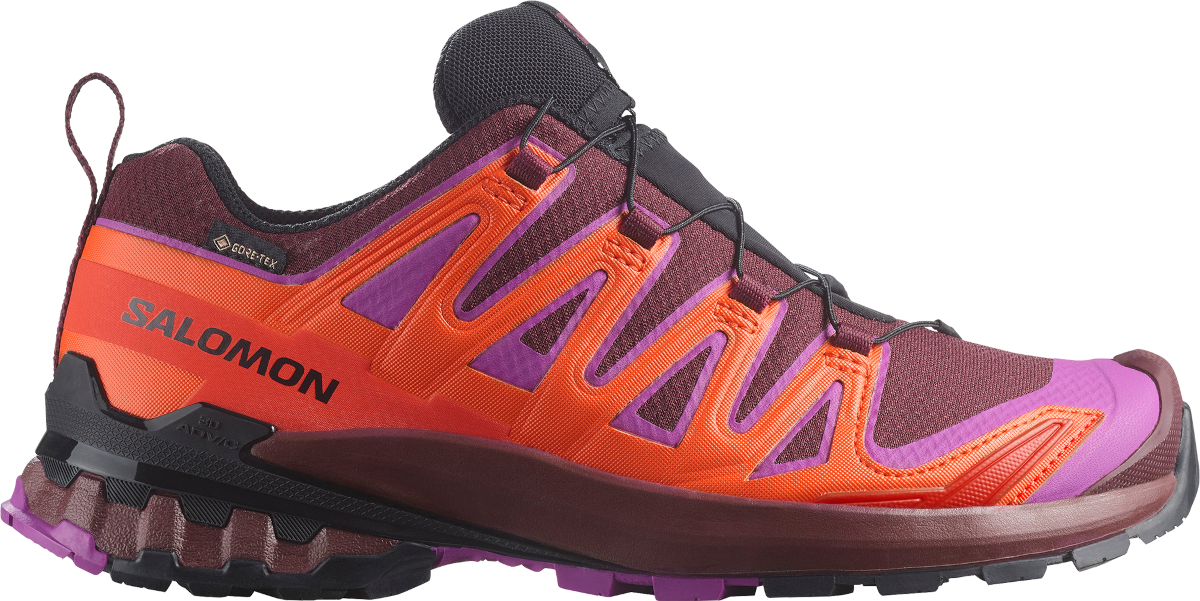 Кецове и обувки Salomon Salomon XA PRO 3D V9 GTX Лилаво | l47961900, 0