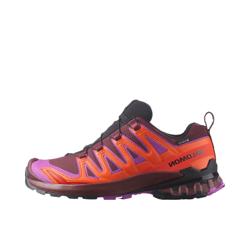 Кецове и обувки Salomon Salomon XA PRO 3D V9 GTX Лилаво | l47961900