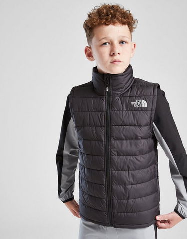 Жилетка The North Face The North Face Gilet Vest Черно | NF0A8FEXJK31, 4