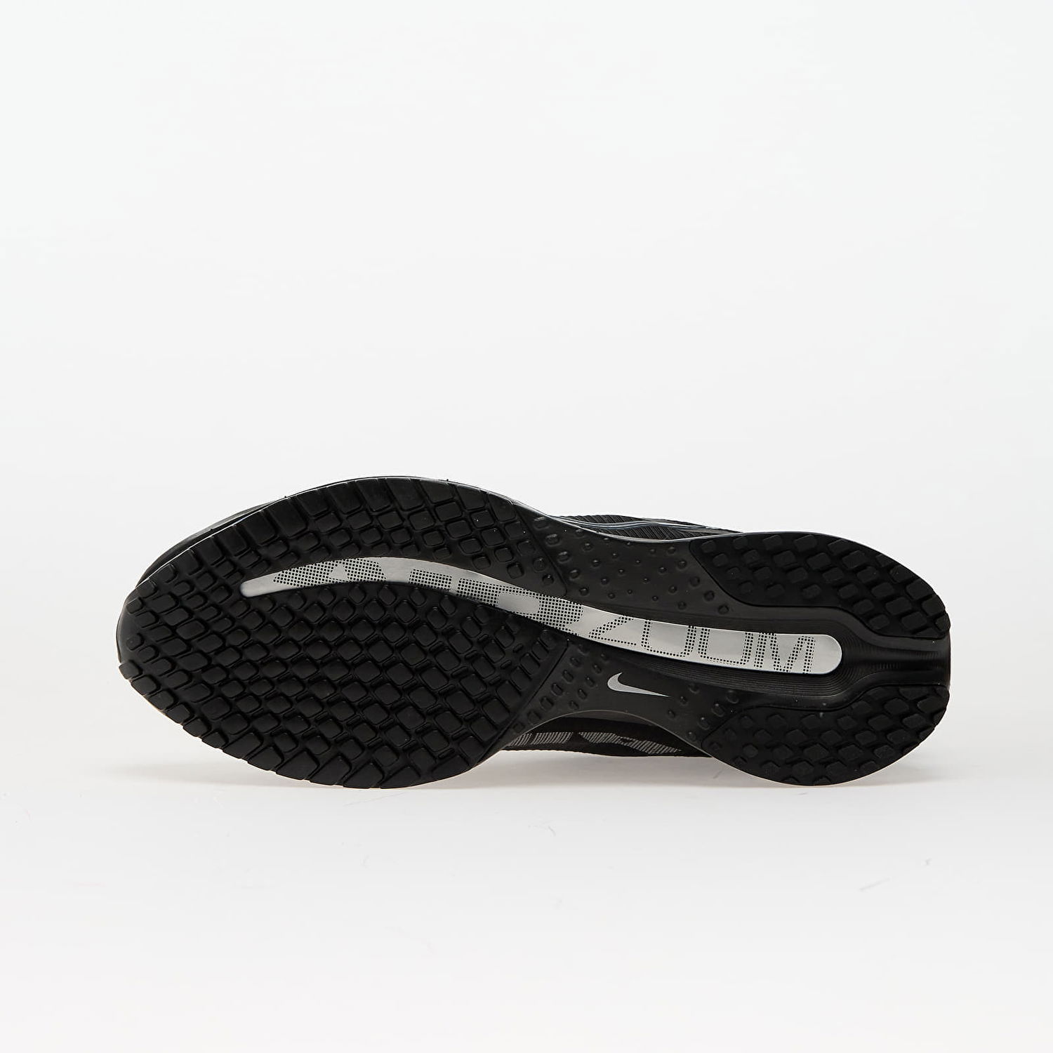Кецове и обувки Nike Pegasus Premium Черно | HQ2592-005, 1