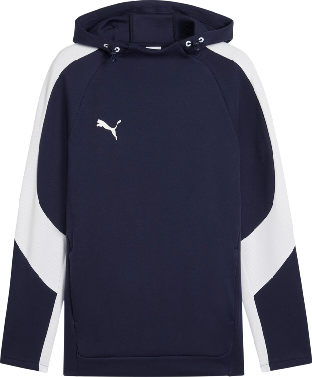 TeamEvostripe Hoody