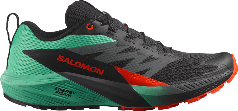 Кецове и обувки Salomon SENSE RIDE 5 Зелено | l47698200