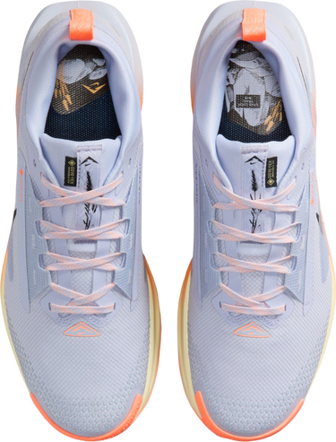 Кецове и обувки Nike Pegasus Trail 5 GORE-TEX Многоцветен | fq0908-011, 2