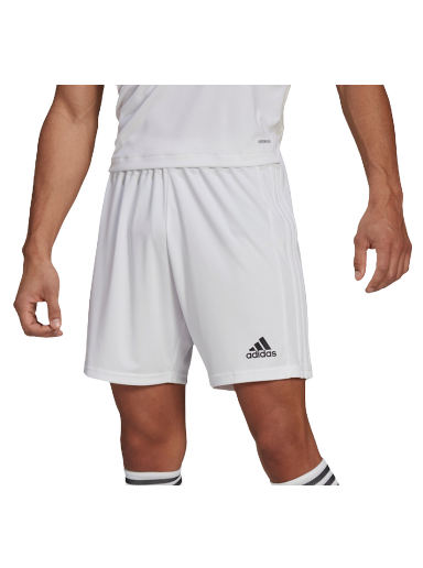 Squadra 21 Shorts