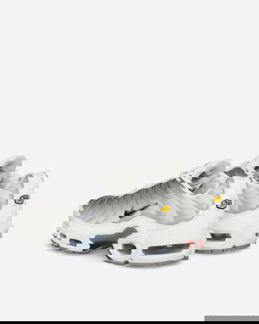 Кецове и обувки Nike Air Max Plus "Sail Grey" Сиво | FQ2892-100, 4