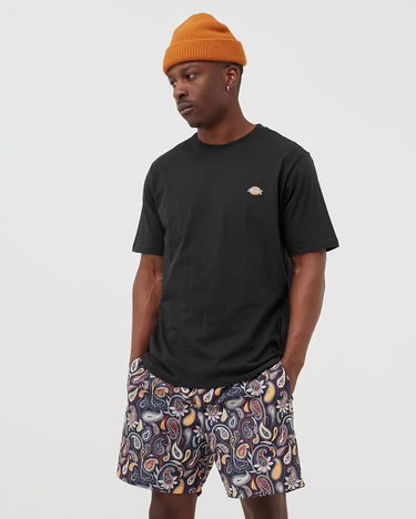 Тениска Dickies MAPLETON TEE Черно | 194903388614, 1