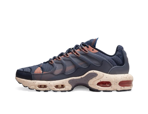Кецове и обувки Nike Air Max Terrascape Plus Синьо | DN4587-400