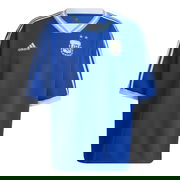 Argentina Icon 3/4 Sleeve Jersey