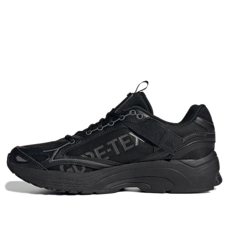 Кецове и обувки adidas Originals Spiritain 2000 GTX Черно | GZ1321