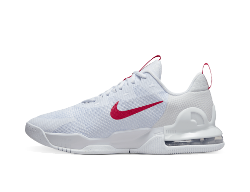 Кецове и обувки Nike Air Max Alpha Trainer 5 Сиво | DM0829-012