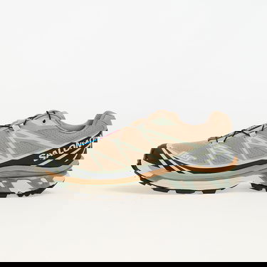 Кецове и обувки Salomon Salomon XT-6 Бежово | L47737400, 0