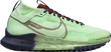 Кецове и обувки Nike Pegasus Trail 4 GORE-TEX Зелено | dj7926-303, 0