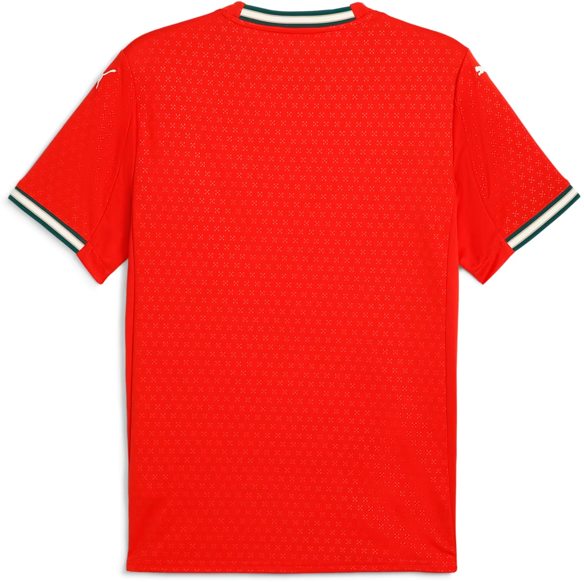 Фланелка Puma Portugal 2025 Home Jersey Червено | 779190-01, 1