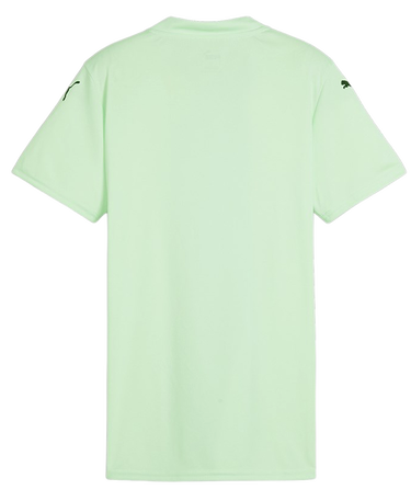 Фланелка Puma teamGLORY Jersey Wmns Тюркоазено | 705742-60, 1