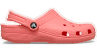 Classic Clogs