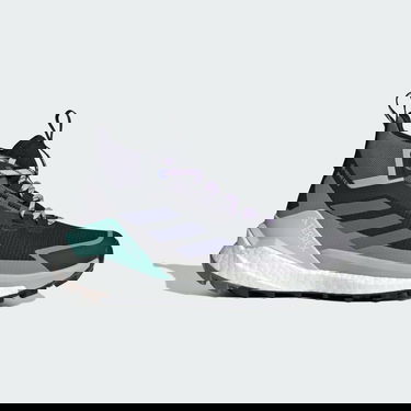 Кецове и обувки adidas Performance Terrex Free Hiker 2.0 Gore-Tex Hiking Boots Черно | JQ9902, 0