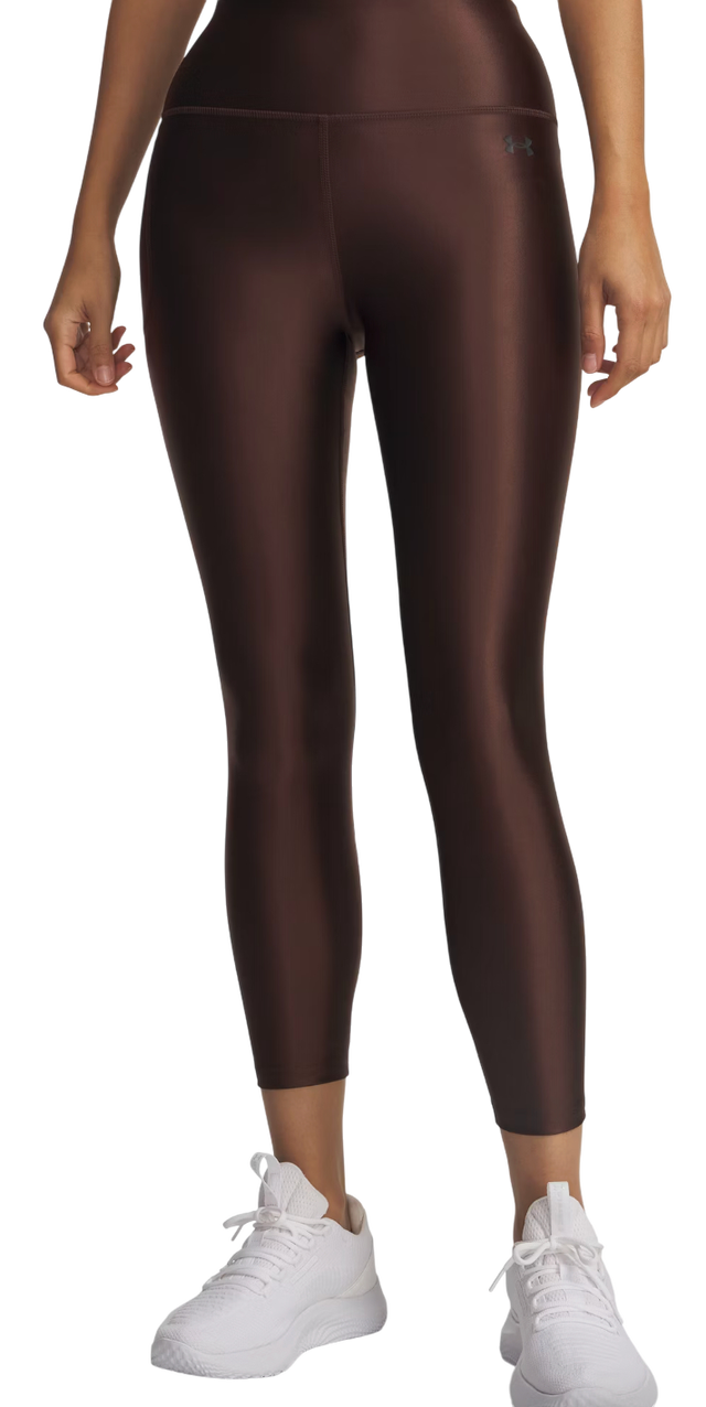 Motion Shine Leggings