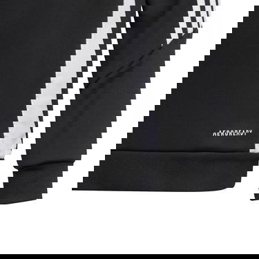 Суитчър adidas Performance TIRO24 TRHOODY Черно | ij9960, 2
