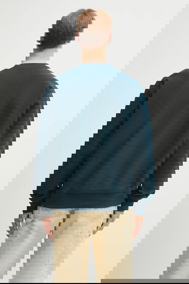 Суитчър Carhartt WIP American Script Sweatshirt with embroidered logo Зелено | I025475.0AUXX, 2