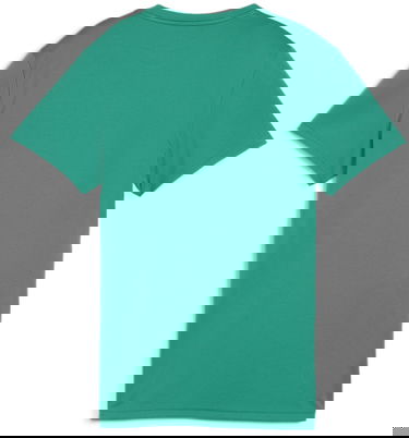Тениска Puma teamGOAL T-shirt Зелено | 658638-05, 1