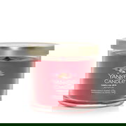 Signature Tumbler Small Santa On Skis Natural & Synthetic Fragrance Universal