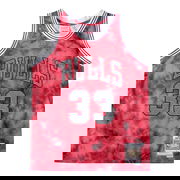 NBA Bulls Pippen Jersey