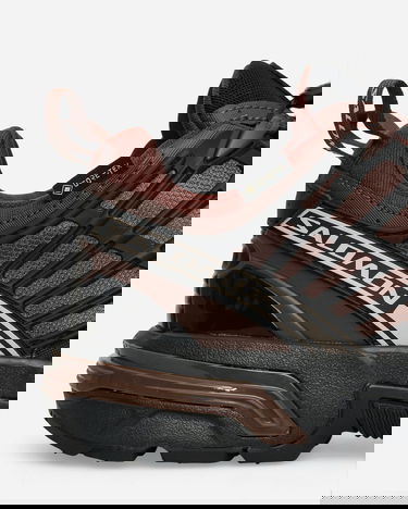 Кецове и обувки Salomon ACS Pro GORE-TEX Кафяво | L47736400, 6