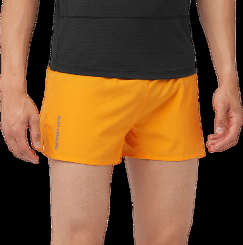 Къси панталони Salomon CROSS 3 SHORTS M Оранжево
 | lc2196400