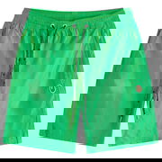 A Bathing Ape Ape Head Nylon Beach Short