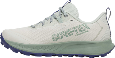 Кецове и обувки Saucony PEREGRINE 15 GTX Многоцветен | s10992-260, 1