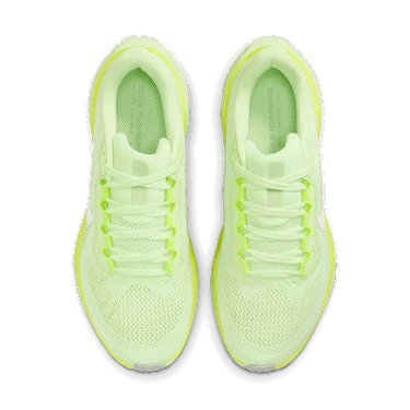 Кецове и обувки Nike Pegasus 41 Зелено | FD2723-702, 2