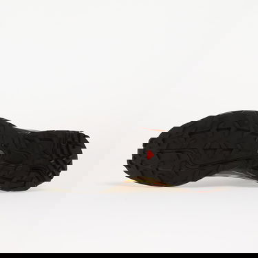 Кецове и обувки Salomon XT-6 Многоцветен | L47869600, 1