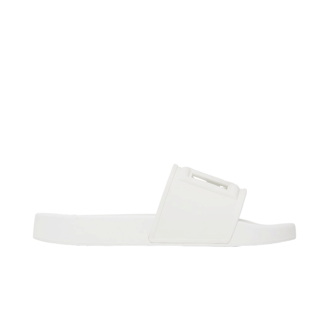 White DG Logo Slides