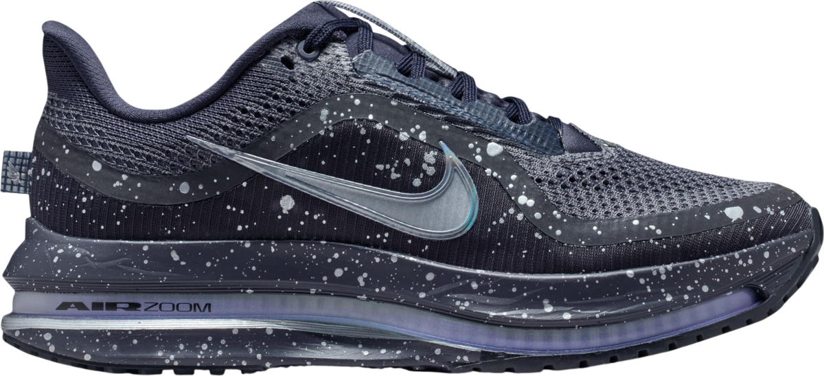 Кецове и обувки Nike Pegasus Premium SE Тъмно синьо | ih0861-500, 0