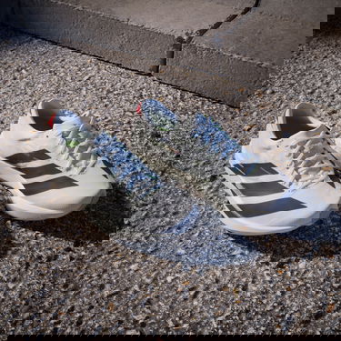 Кецове и обувки adidas Performance ADIZERO ADIOS 9 Бяло | if9418, 7
